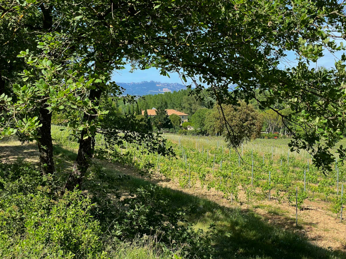 Wines of Château Talaud